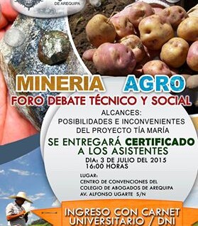 debate tia arequipa abogas