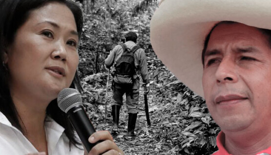 Debate presidencial: Defensores ambientales