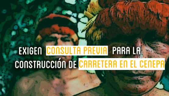 consulta previa