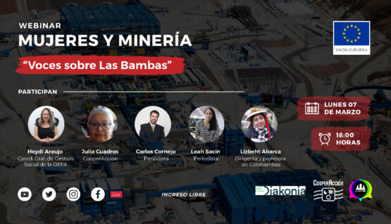 webinar denominado "Mujeres y minería