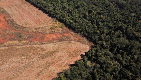 Deforestación