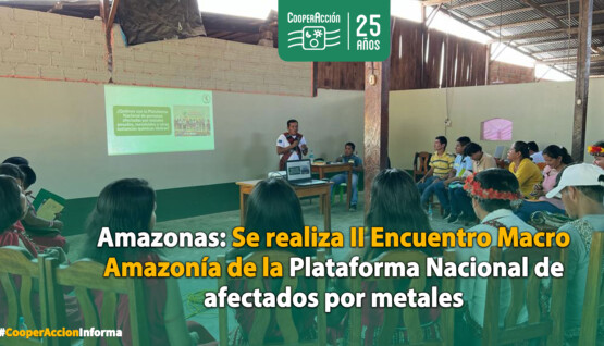II-Encuentro-Macro-Amazonia-de-afectados-por-metale-s