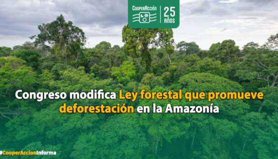LEY-FORESTAL