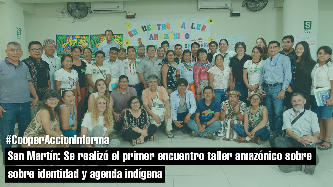 taller-amazónico-sobre-identidad-y-agenda-indígena 