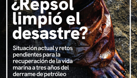 ¿Repsol limpió el desastre?