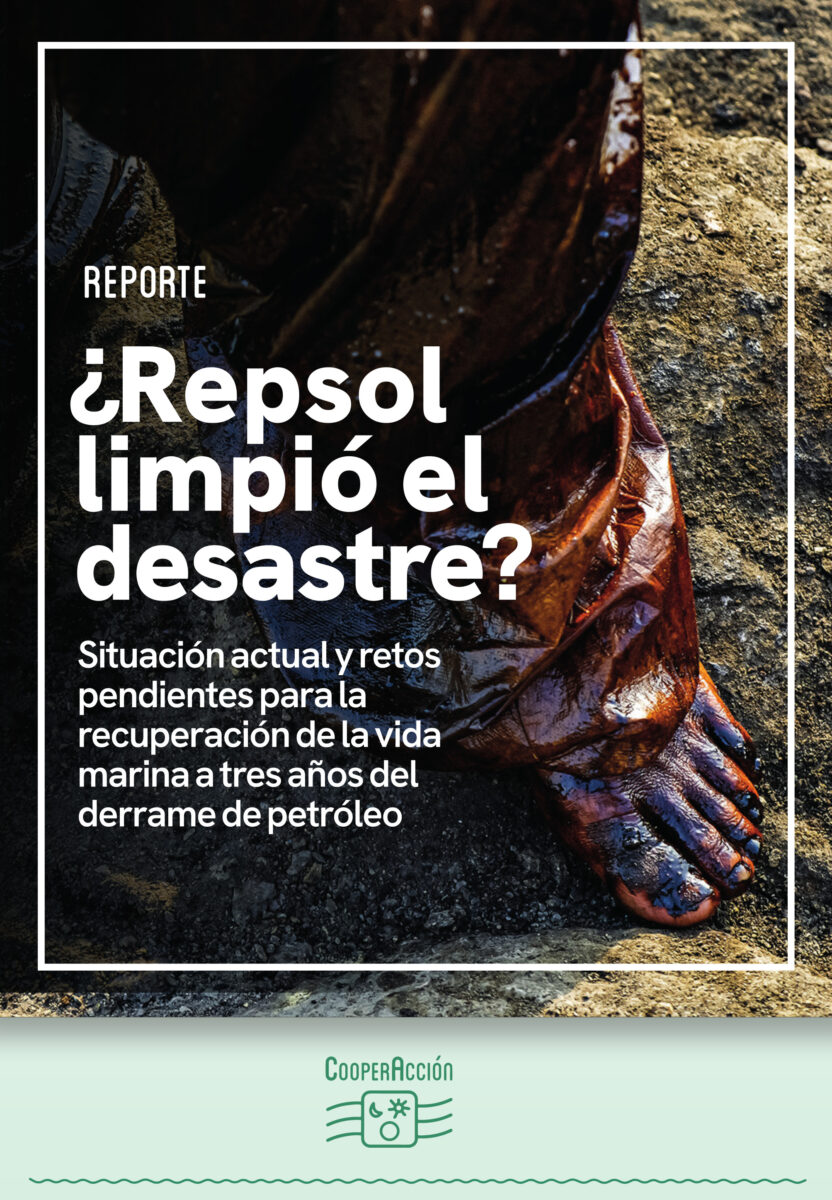 ¿Repsol limpió el desastre?