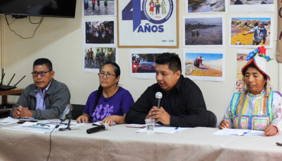 Plataforma Nacional de Afectados y Afectadas por metales