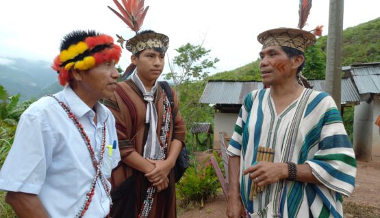 awajún y asháninka