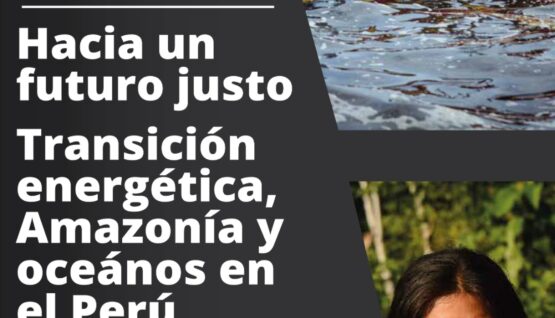 Transición energética, amazonía y océanos en el Perú