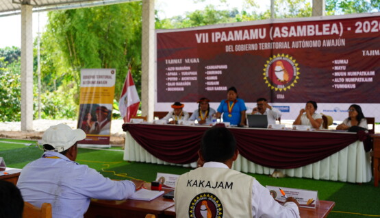 Ipaamamu 2026